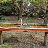 photo 2021-04-13 08-21-15