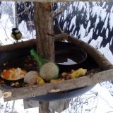 photo 2019-01-22 08-07-37