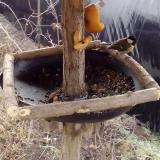 photo 2019-02-08 09-39-02