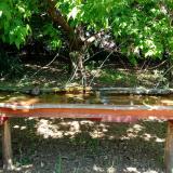 photo 2021-05-10 12-25-25