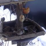 photo 2019-01-28 07-31-47