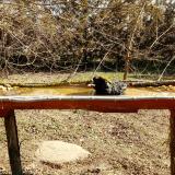 photo 2021-03-11 09-57-43