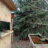 photo 2022-01-06 09-27-47