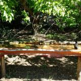 photo 2021-05-10 10-15-33