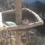 photo 2019-02-16 09-32-09