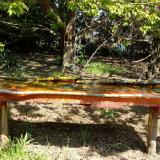 photo 2021-04-26 10-57-12