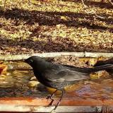 photo 2021-10-25 09-26-08 rigo