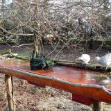 photo 2021-03-20 07-56-09