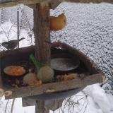 photo 2019-01-25 07-46-16