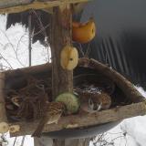 photo 2019-01-27 13-19-12