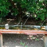 photo 2021-08-09 12-38-42