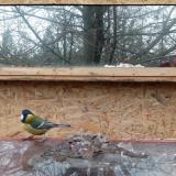 photo 2022-01-17 10-07-08