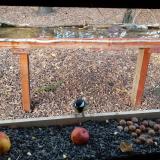 photo 2021-11-03 15-10-28