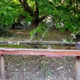 photo 2021-05-25 19-04-01