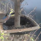 photo 2019-12-23 08-57-58