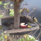 photo 2019-12-06 13-00-35