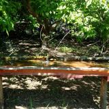 photo 2021-05-11 10-37-38