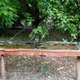 photo 2021-05-25 10-31-02