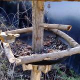 photo 2019-01-02 08-34-27