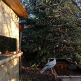 photo 2022-01-01 08-24-18