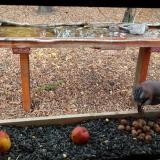 photo 2021-11-03 12-44-14