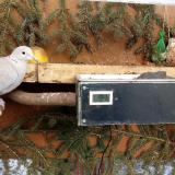 photo 2021-02-12 15-36-27