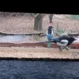 photo 2021-12-09 08-47-17