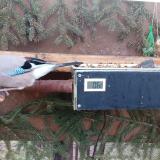 photo 2021-02-25 07-07-32