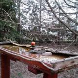 photo 2022-03-09 17-20-32