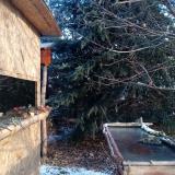 photo 2022-01-10 09-15-52