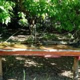 photo 2021-05-11 09-35-20