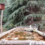 photo 2023-10-19 14-51-32