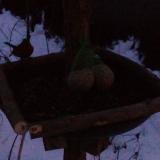 photo 2019-01-10 06-53-01