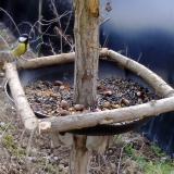 photo 2019-01-03 10-00-22