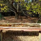 photo 2021-10-19 13-53-30