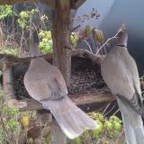 photo 2019-12-12 10-34-17