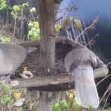 photo 2019-12-09 12-33-27