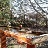 photo 2022-03-24 08-00-09