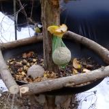 photo 2019-01-15 13-47-29