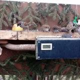 photo 2021-02-08 09-36-24