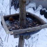 photo 2019-01-07 07-47-52