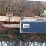 photo 2021-02-12 09-44-20