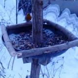 photo 2019-01-07 07-18-26