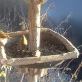 photo 2019-12-30 14-26-25