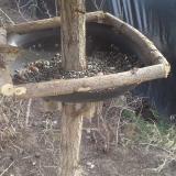 photo 2019-02-20 13-30-54