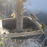 photo 2019-12-29 09-55-19