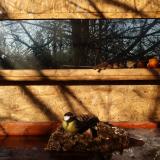 photo 2022-01-24 09-16-43