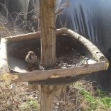 photo 2019-03-13 08-43-55