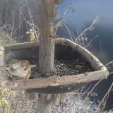 photo 2019-12-31 11-44-39