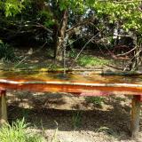 photo 2021-04-27 11-24-21